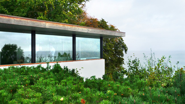 Photo Courtesy of Albano Daminato 2 39712059 louisiana1