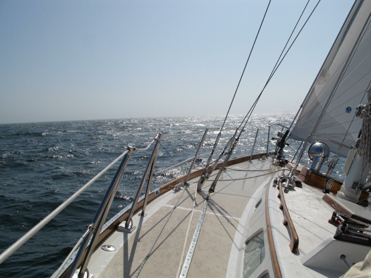 Photo courtesy of Peter Sallick